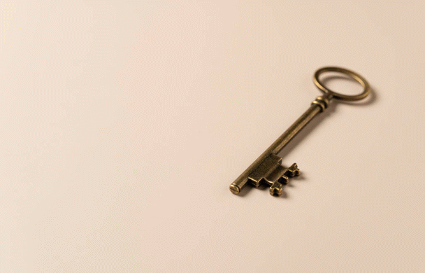 آموزش پول درآوردن ثابت از طریق شبکه‌های اجتماعی