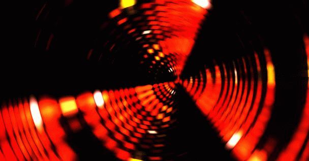 چگونه به مرغ عشق صحبت کردن یاد دهیم؟ 19 تکنیک اساسی