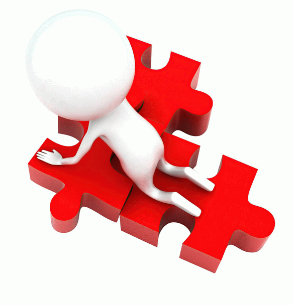 نکته های مهم درباره غذای سگ شیواوا که باید بدانید!