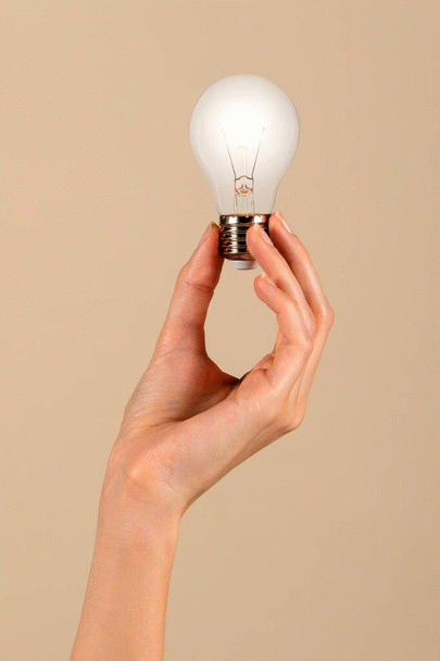 چگونه یک حیوان خانگی کم دردسر انتخاب کنیم؟ 12 نکته ضروری