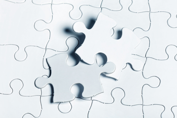 چرا سگ‌مون رو به آرایشگاه سگ ببریم؟ 17 دلیل قانع‌کننده!