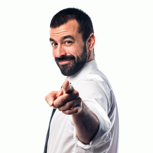 ۱۸ نکته کلیدی برای تغذیه صحیح سگ‌های نژاد کوچک بالغ